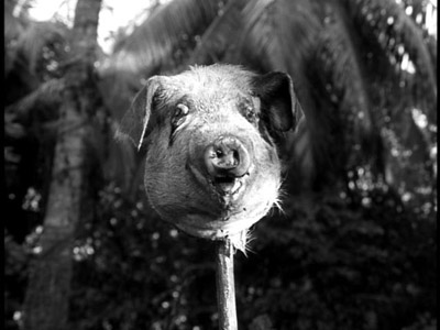 pig head on a stick